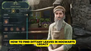 How to Find Dittany Leaves in Hogwarts Legacy