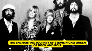 fleetwood mac stevie nicks