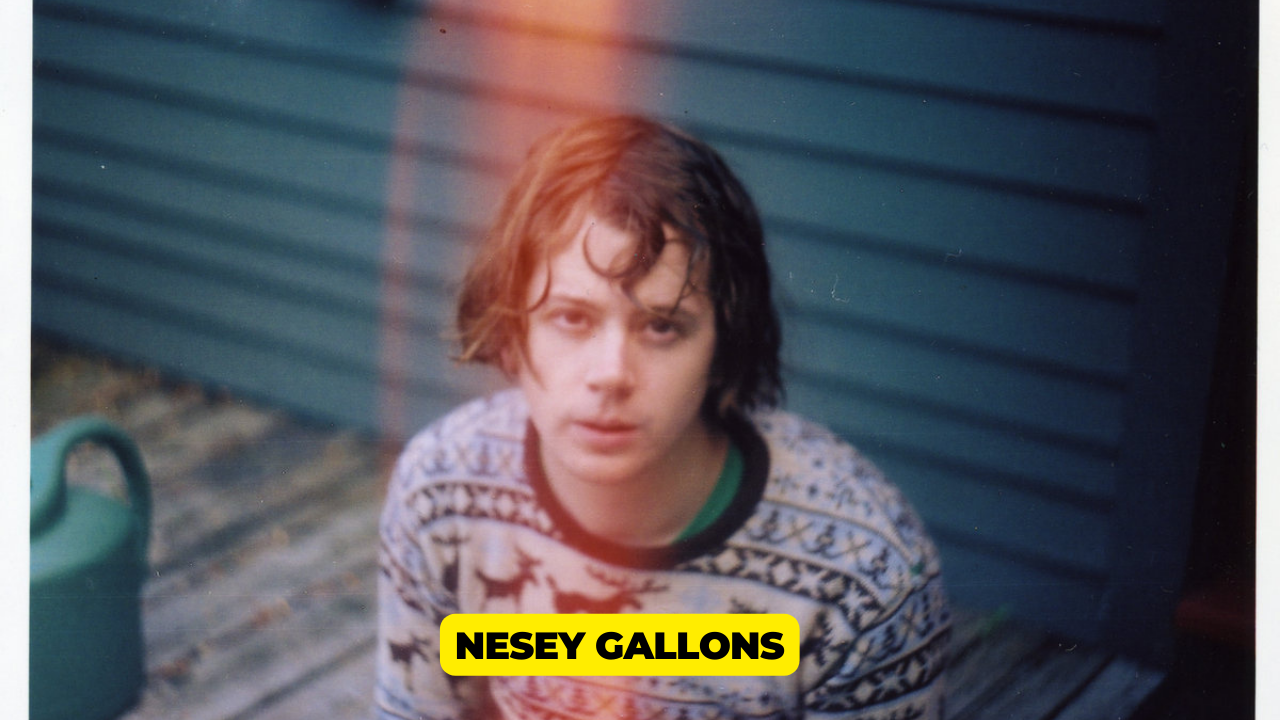 nesey gallons