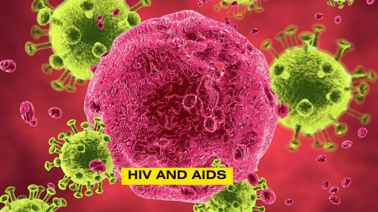 Hiv And Aids HIV and AIDS Comprehensive Guide