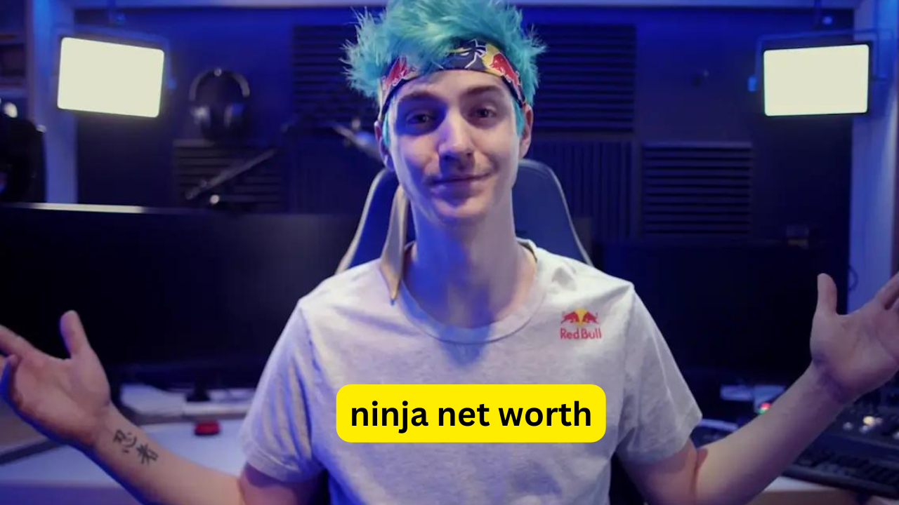 Ninja Net Worth