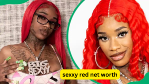 Sexyy Red Net Worth