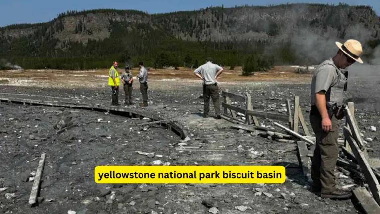 Yellowstone National Park Biscuit Basin