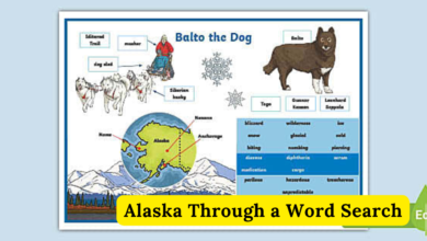 Alaska Through A Word Search