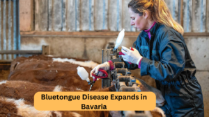 Bluetongue Disease Expands in Bavaria