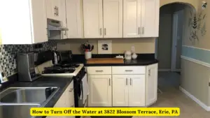 How to Turn Off the Water at 3822 Blossom Terrace, Erie, PA