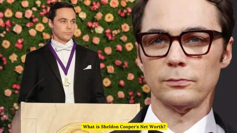 What is Sheldon Cooper's Net Worth?