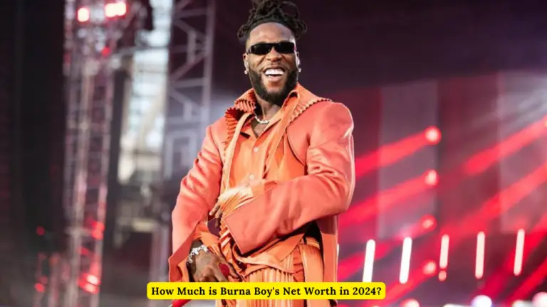 How Much is Burna Boy's Net Worth in 2024?