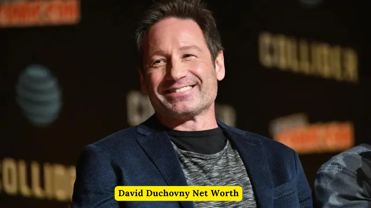 David Duchovny Net Worth