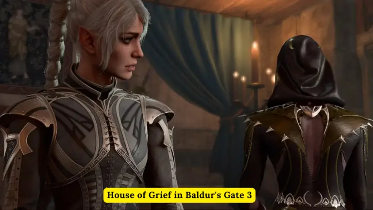 House of Grief in Baldur's Gate 3