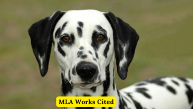 Mla Works Cited