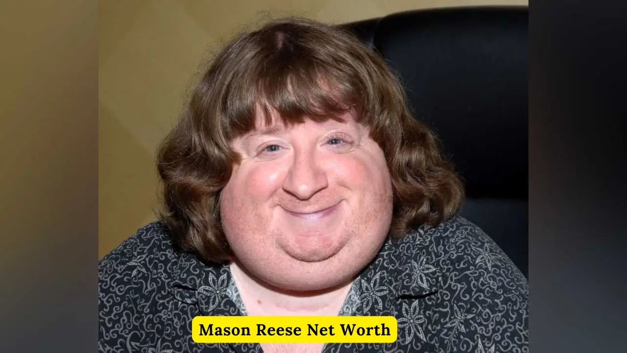 Mason Reese Net Worth