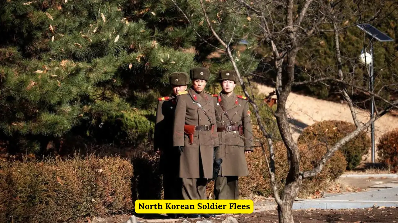 North Korean Soldier Flees