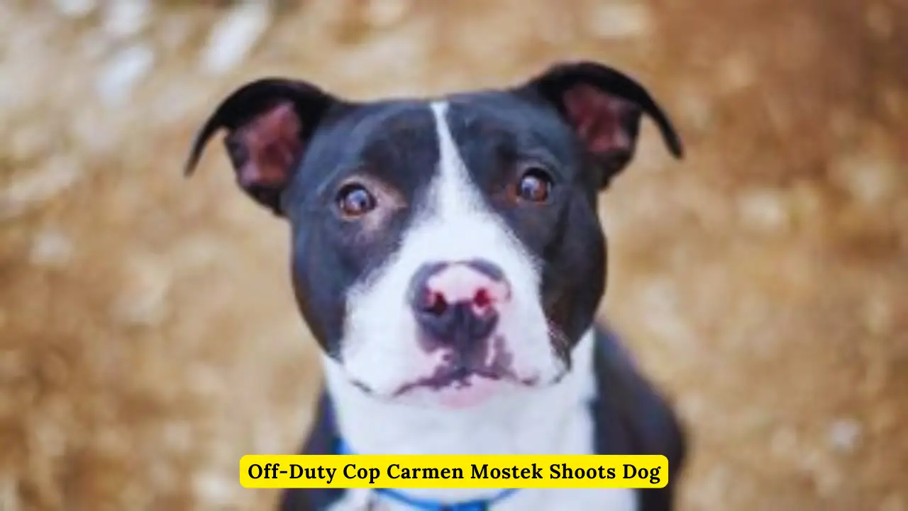 Off Duty Cop Carmen Mostek Shoots Dog