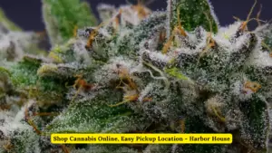 Shop Cannabis Online, Easy Pickup Location - Harbor House