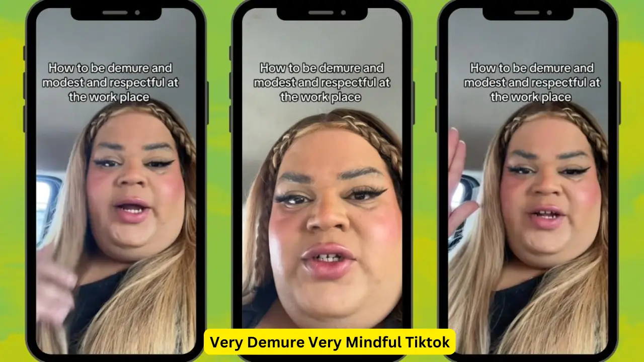 Very Demure Very Mindful Tiktok