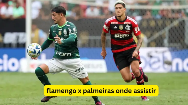 Flamengo X Palmeiras Onde Assistir