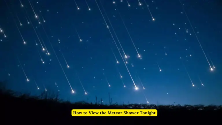 How to View the Meteor Shower Tonight