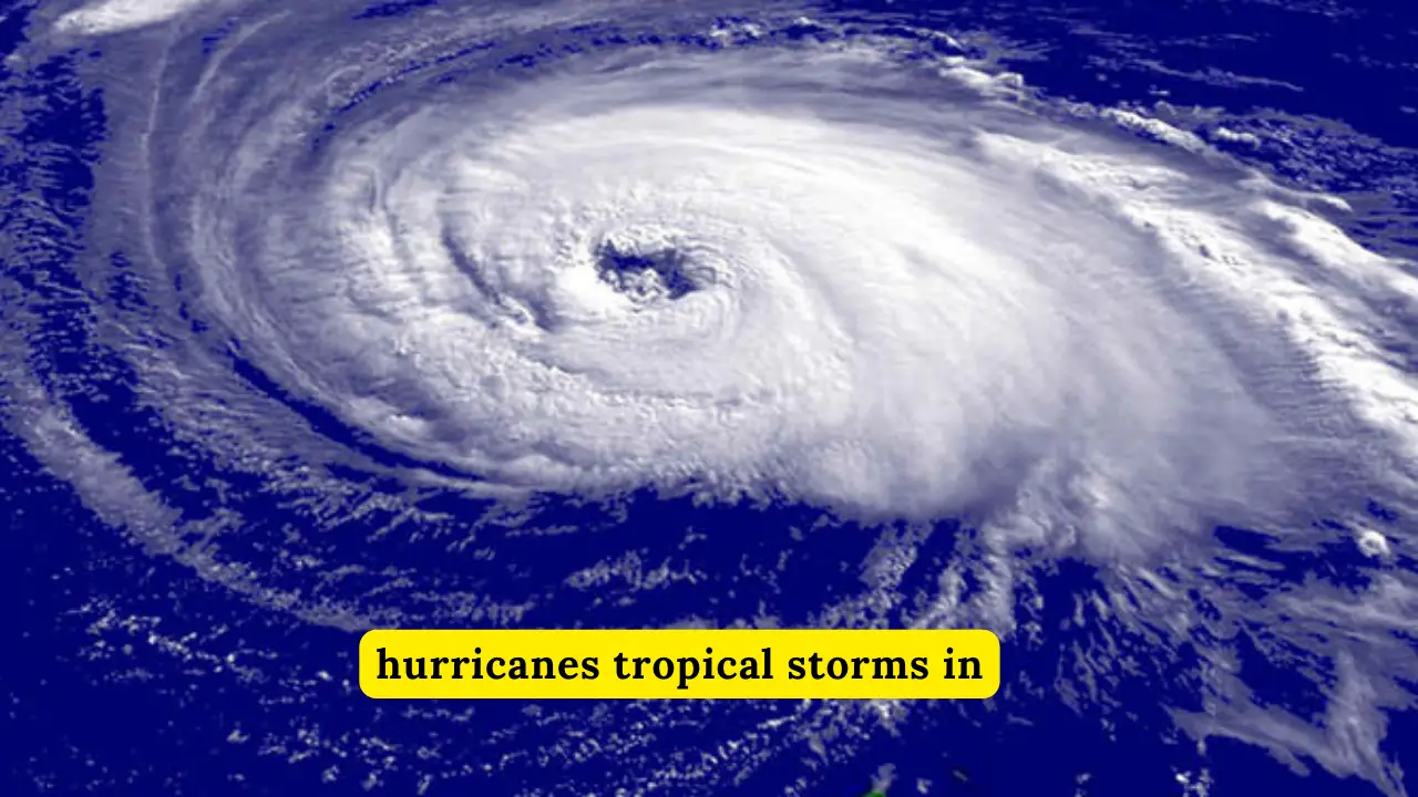 Hurricanes Tropical Storms In