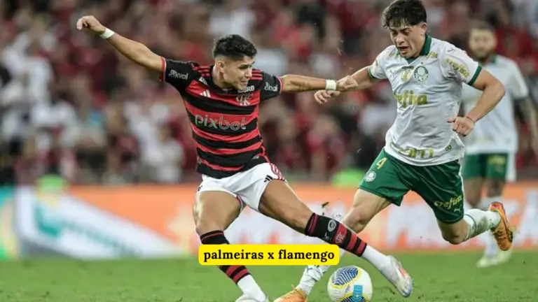 Palmeiras X Flamengo