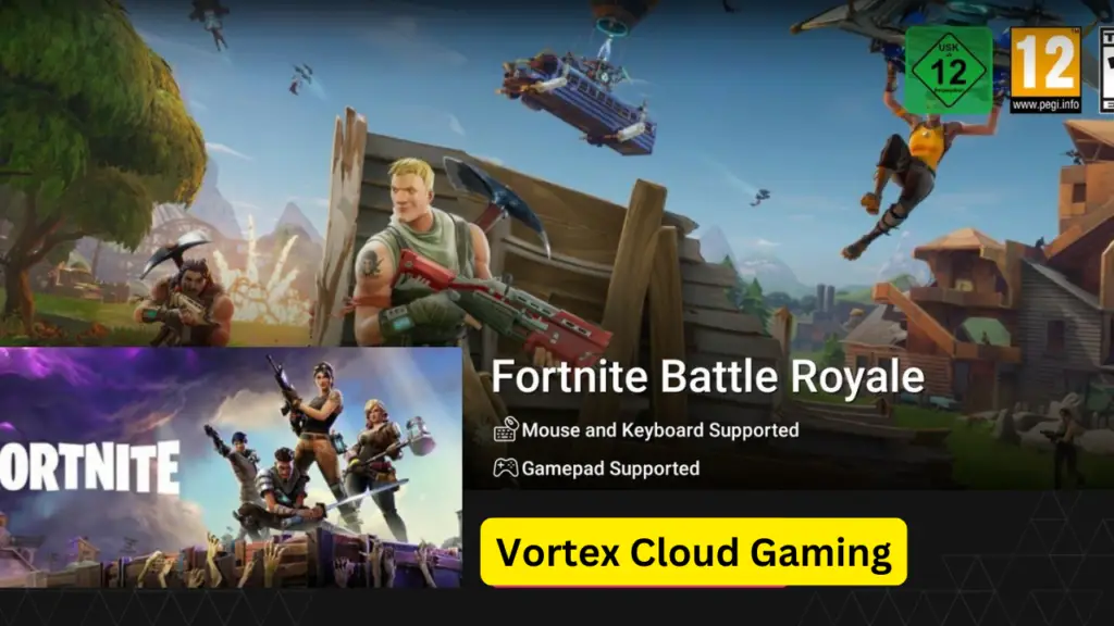 Vortex Cloud Gaming