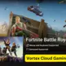 Vortex Cloud Gaming